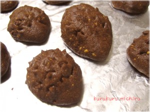 ハリネズミチョコクッキー